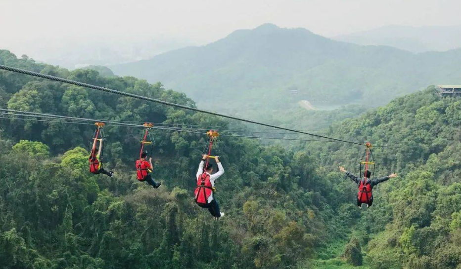 適合森林公園的游樂項目叢林滑索——簡單好玩，成本還低